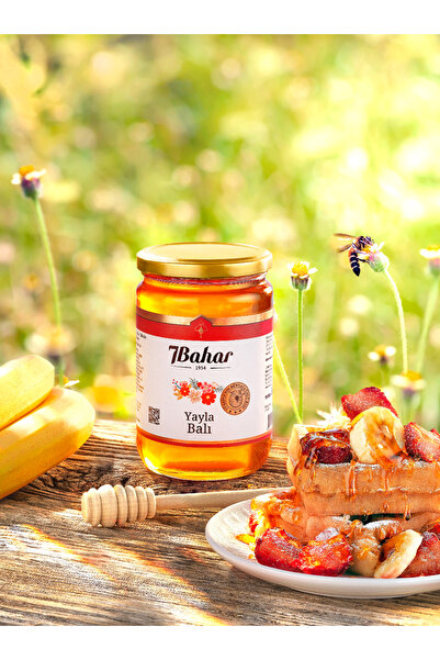 7BAHAR YAYLA BALI850G