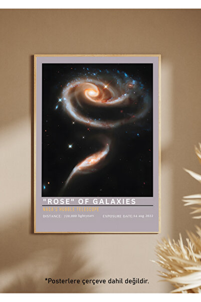 One Little Happiness Αφίσα Αφίσα Αισθητική Αφίσα Τοίχου, Αφίσα χωρίς πλαίσιο