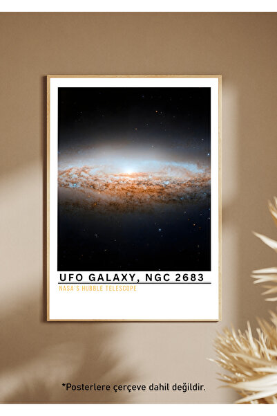 One Little Happiness Αφίσα Αφίσα Αισθητική Αφίσα Τοίχου, Αφίσα χωρίς πλαίσιο