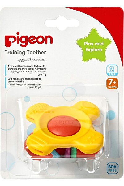 Pigeon عضاضة التدريب الخطوة 2