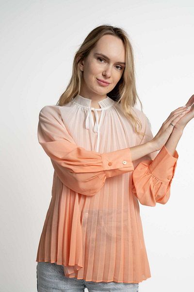 mica Women's Long Sleeve Sheer Pleated Blouse