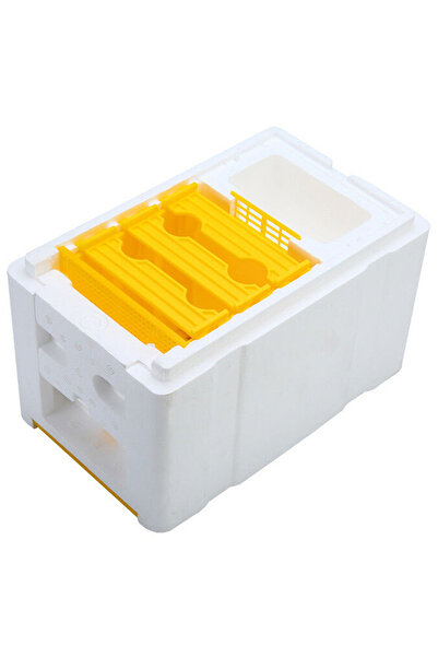 Choice L as the picture Queen Bee Rearing Mating Beehive Beekeeping Tool Foam Pollination Box Bee Breeding