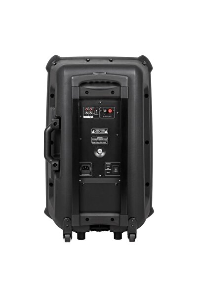 AZUSA Φορητό ηχείο 120 W, 15 ιντσών, Bluetooth, USB, SD, FM, 2 ασύρματα μικρόφωνα