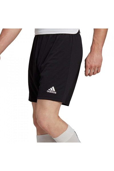 adidas Entrada 22 pants for men