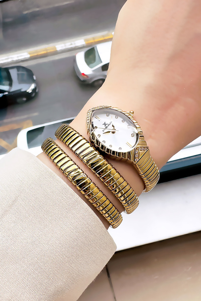 Daniel Klein Snake Watch Model - Women's Wrist Watch, Waterproof Gold Color Steel Band - Bracelet Gift Gdkb2012C1