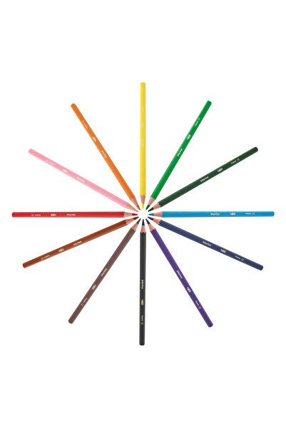 Bic Evolution Kuru Boya Kalemi 36 Renk Metal Tüp 968491