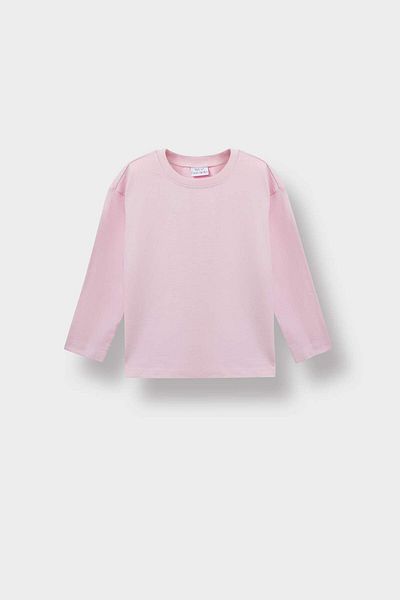 DeFacto Baby Girl Crew Neck Long Sleeve T-Shirt E8355A525Au