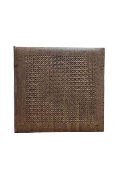 PROCART Album foto, 200 buzunare, 10x15 cm, copertă frontală perforată, diverse culori Maro deschis