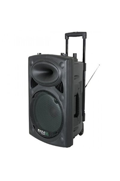 IBIZA Boxă portabilă cu Bluetooth, USB, FM, microfoane și telecomandă