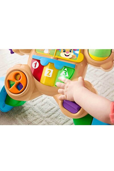 FISHER PRICE Türkçe ve İngilizce Eğitici Köpekçik Yürüteç FTG10