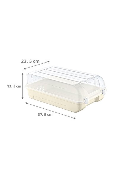 Smartware Men's Shoe Box