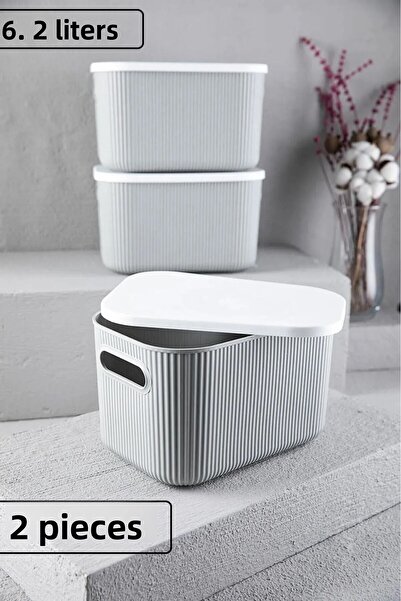 Bayev Set of 6- Multi-Purpose In-Cabinet Organizer Storage Box with Lid 21-13-6,2 (Set of 2 Pieces)