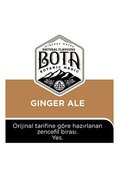 bota Ginger Ale Original Recipe Tonic 6x250 Ml