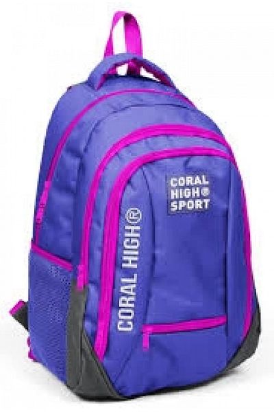 Coral High Sport Lavender Gray Four Compartment Backpack 23453