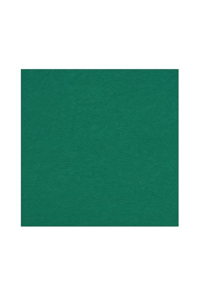 alenked Green Napkin 33X33 cm 100 Pieces