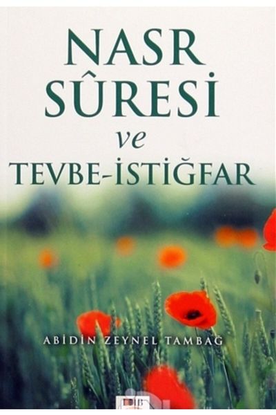 Değer Dünya İletişim Basım Yayımları Nasr Period and Tawbah-i Istigfar
