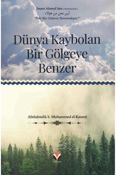 Yedi Sema Yayınları Like a World Lost Shadow