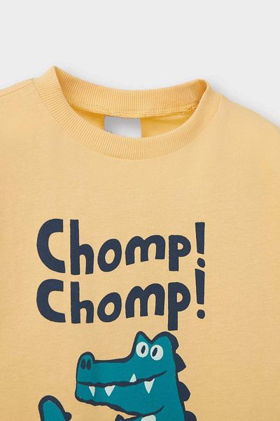 DeFacto Baby Boy Crew Neck Printed Short Sleeve T-Shirt E1078A525Sm