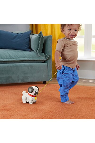 mattel Interaktivní hračka Fisher Price Štěně s pohyby a zvuky