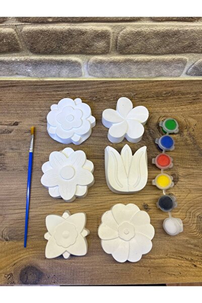 Home Çiçek Temalı Taş Boyama Seti | 6 Figür + 1 Fırça + 6 Renk Boya | Çocuk Aktivite & Hobi