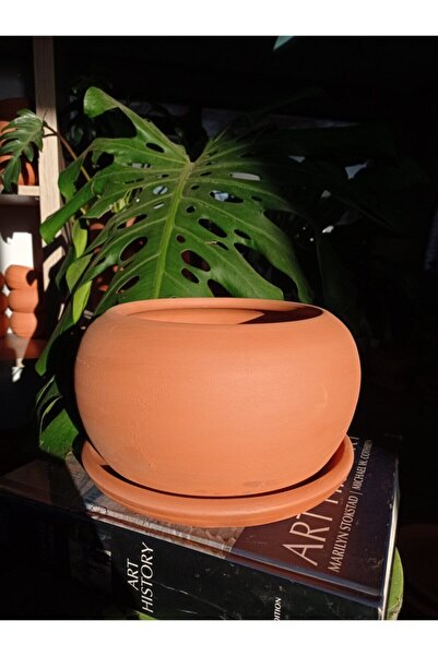 Comlekevi Toprak Saksı , Aranjman