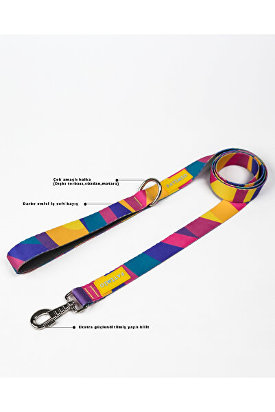 PATİMİO ألوان نموذج طوق المشي الفاخر للكلاب