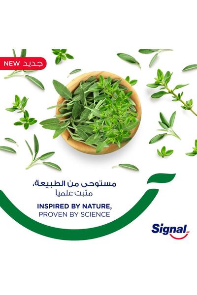 Signal معجون أسنان كومبليت 8 عناصر طبيعية عشبي 75 مل حماية عشبية لأسنان صحية