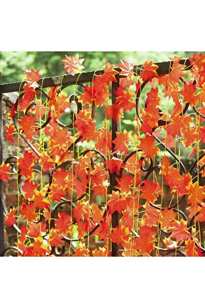 Buka Shops Autumn Ivy Set