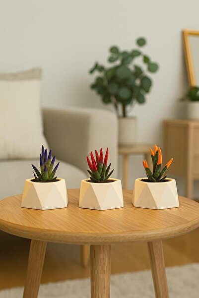 Lea Concept Hexa 3'lü Beton Saksı Seti - Modern Geometrik Ev ve Ofis Dekoru