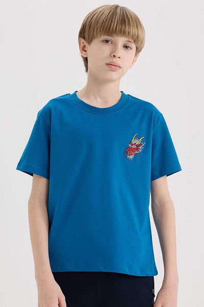DeFacto Boy's Crew Neck Embroidery Short Sleeve T-Shirt E0088A825Sm