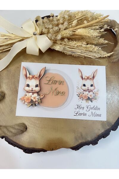 Ege ajans 10 adet pleksi figürlü bebek magneti (kartlı ve jelatinli)