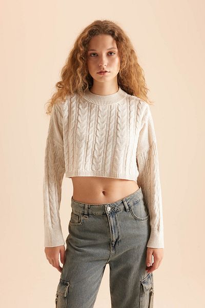 DeFacto Светр з капюшоном Coool Crew Neck Sweater Pullover Regular Fit T4518az23wn
