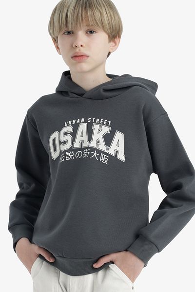 DeFacto Момчешки суитшърт с качулка, стандартна кройка, дебел плат, D4347A824WN