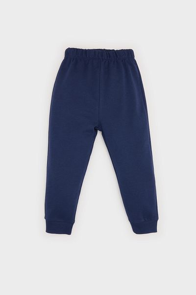 DeFacto Baby Boy Sweatpants B7014A524SP