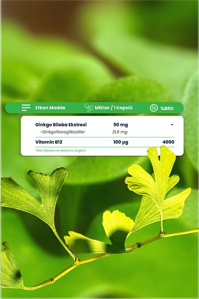Smartcaps Ginkgo Biloba B12 60 Capsules