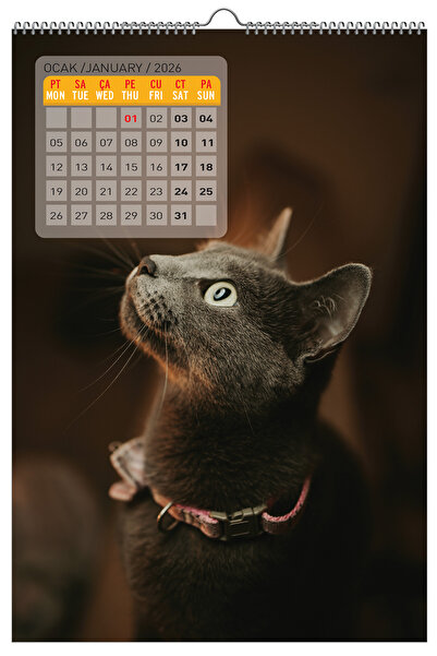 NATURELBASIM 2026 KEDİ / CAT DUVAR TAKVİMİ / 33x48 cm