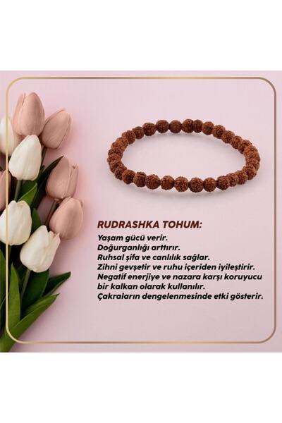 OSMANLI DEĞERLİ TAŞ Sertifikalı Rudrashka Tohum Bileklik 6mm