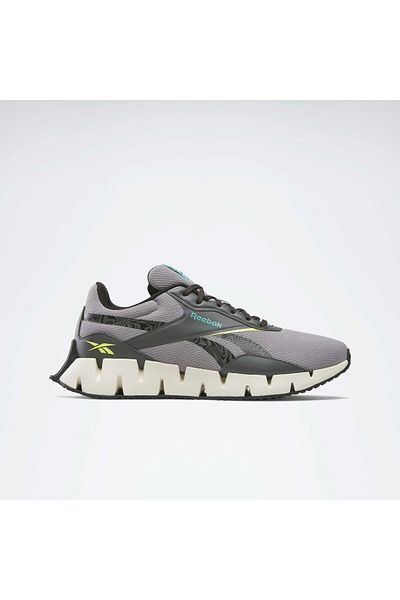 Reebok 100209976 Мъжки обувки ZIG DYNAMICA STR Сиви
