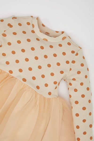 DeFacto Baby Girl Floral Long Sleeve Tulle Dress D9573A525Sp