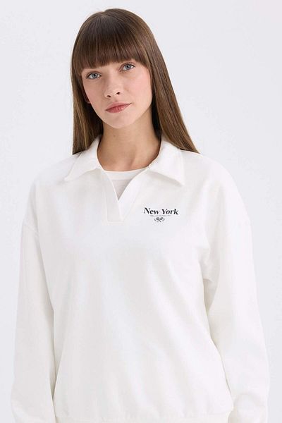 DeFacto Relax Fit Polo Neck Printed Thin Sweatshirt E6077Ax25Sp