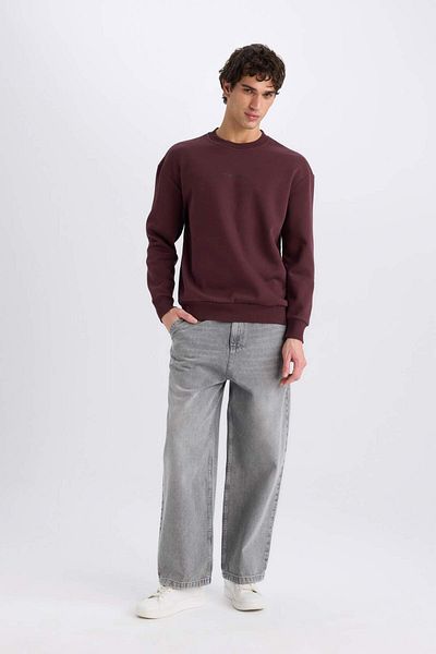 DeFacto Crew Neck Boxy Fit Printed Sweatshirt X8282Az24Au