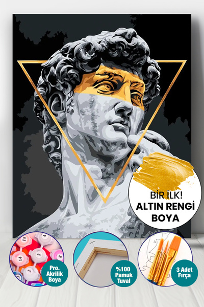 Picasso World Hobby Art Altın Varak Sayılarla Boyama Numaralı Tuval Seti Fırç...