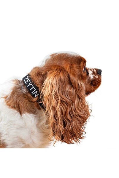 Lusi Doog Kişiye Özel Köpek Boyun Tasması Isme Özel Köpek Tasması Isimli Köpek Tasması (SİYAH)