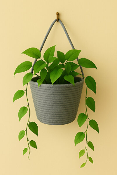 ÖRGÜM Sepet Dekoratif Duvar Çiçeklik Çok Amaçlı Organizer BİTKİ VE ASKI DAHİL...