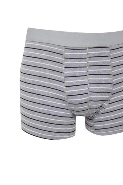 DeFacto Erkek Çizgili 3lü Boxer E0029AX24WN