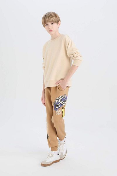 DeFacto Pantaloni de trening groși, cu talie elastică, imprimați pentru băieți D7213a824wn
