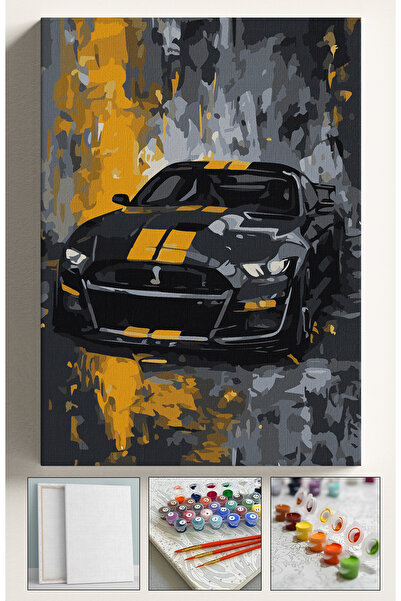 Corvo Sayılarla Boyama Tuval Seti Fırça Boya Dahil (Çıtalı) 40x50 CM - COBRA CAR
