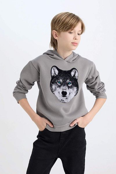 DeFacto Boy's Hooded Printed Sweatshirt B2076A824Wn
