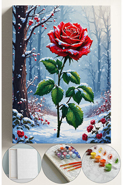 Corvo Sayılarla Boyama Tuval Seti Fırça Boya Dahil (Çıtalı) 40x50 CM - Karda Gül