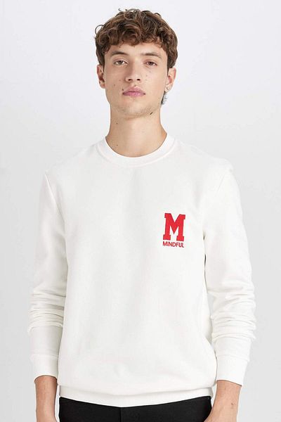 DeFacto New Regular Fit Crew Neck Printed Thick Sweatshirt D3670Ax24Au